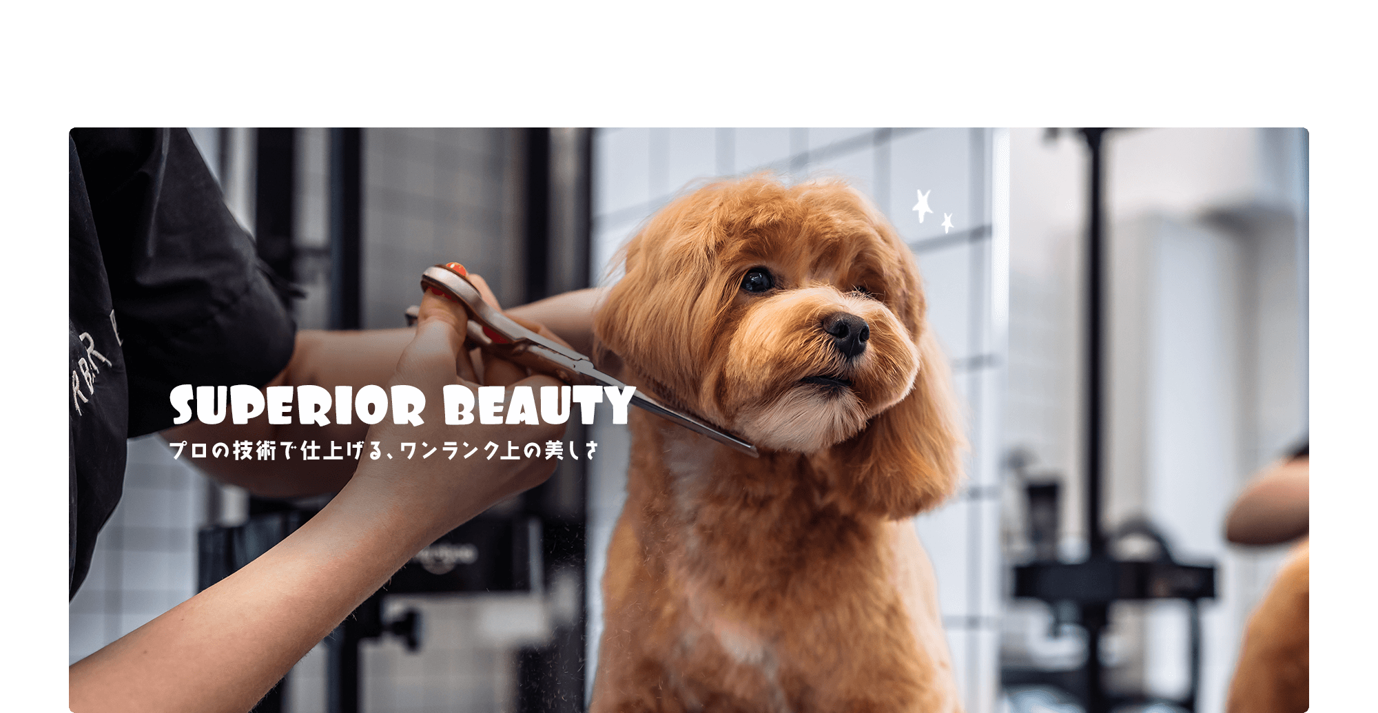 ペットにも、美しさと心地よさの“贅沢”を