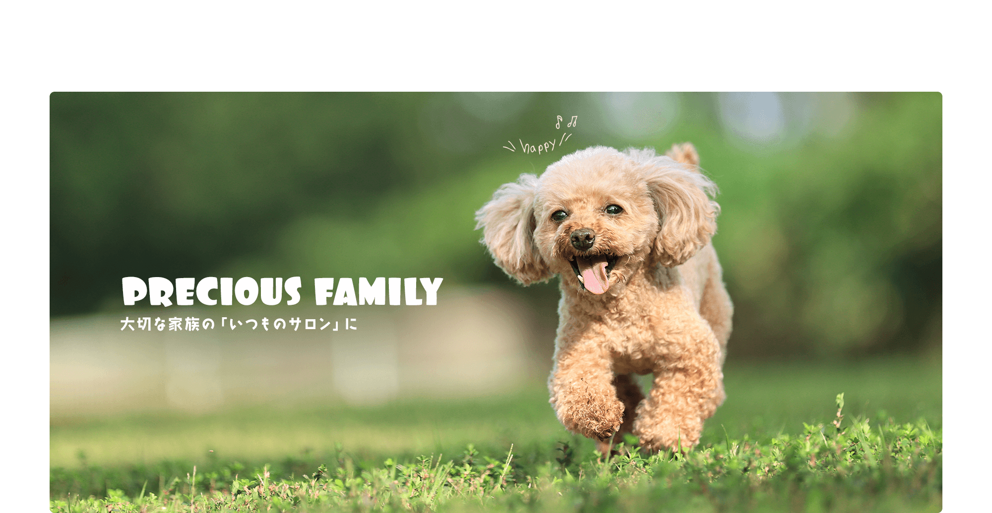 大切な家族の「いつものサロン」に。Beauty Puppy Pet