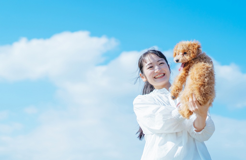 pixta_86384115_M