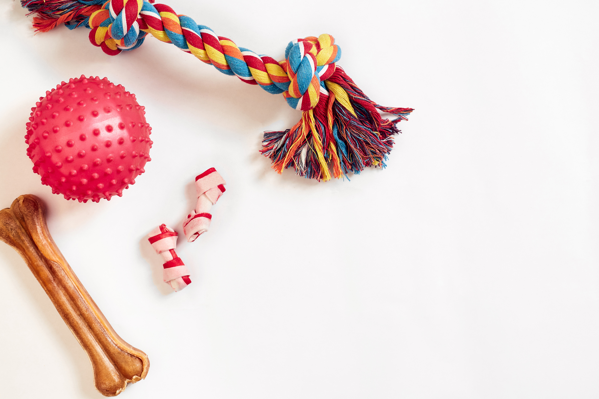 Dog toys set: colorful cotton dog toy and pink ball on a white background